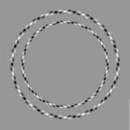 Illusion d’optique, et pourtant ce sont deux cercles